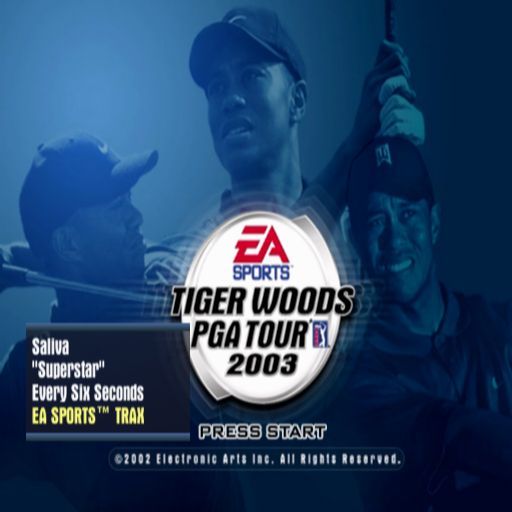 Tiger & Dragon screenshot 4 for Playstation 2